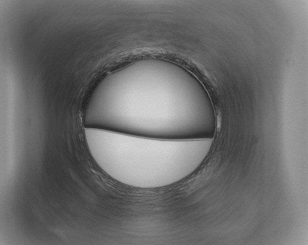 X0000110981492200906191040