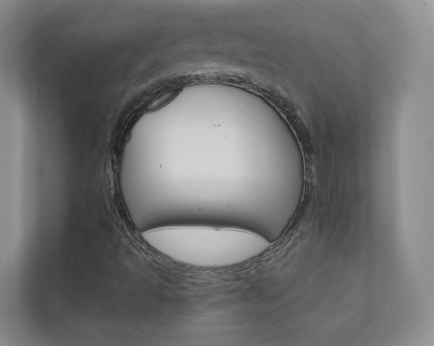 X0000110981493200906191040