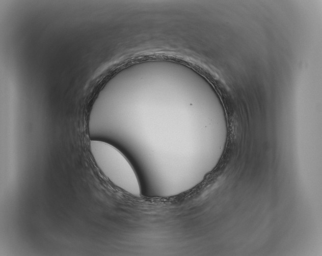 X0000110981494200906191040