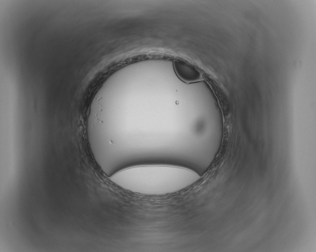 X0000110981495200906191040