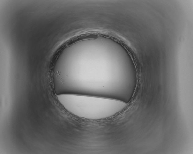 X0000110981496200906191040