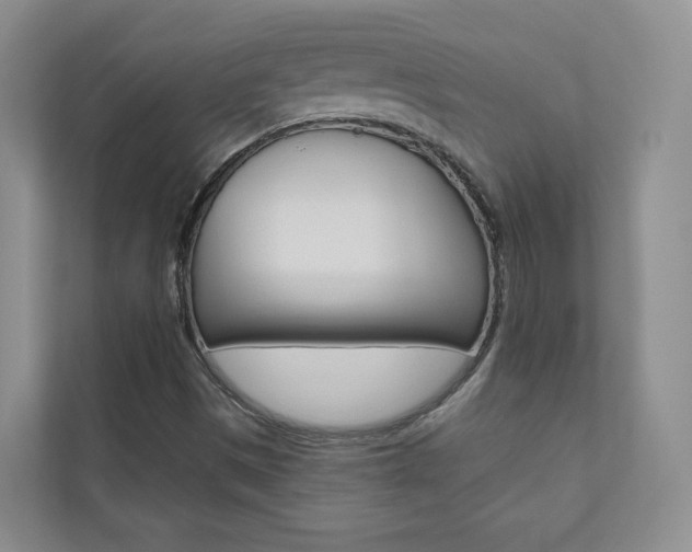 X0000110981497200906191040