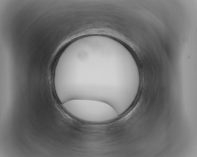 X0000110981498200906191040