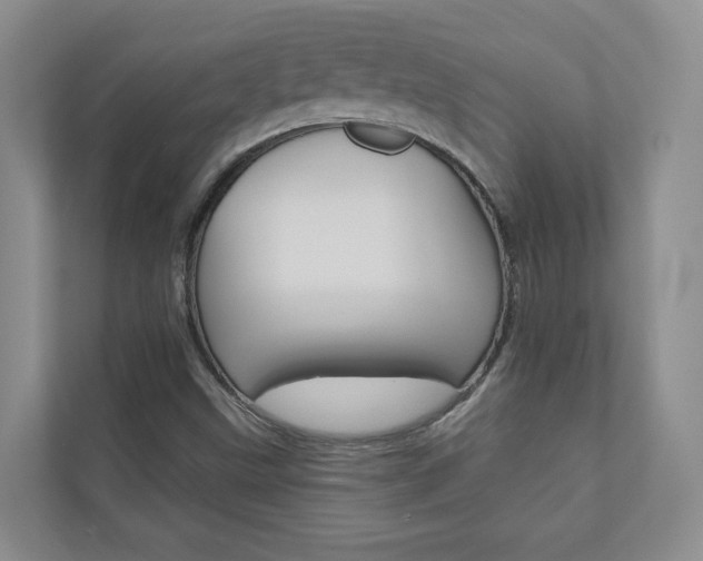 X0000110981499200906191040