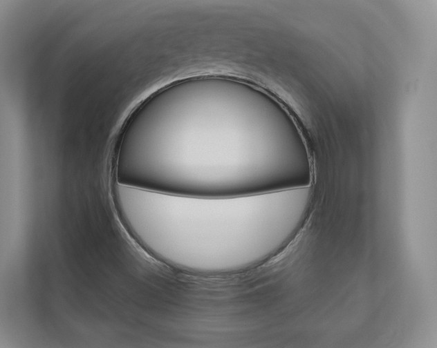 X0000110981500200906191040