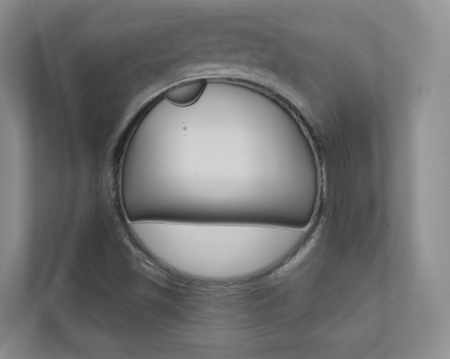 X0000110981501200906191040