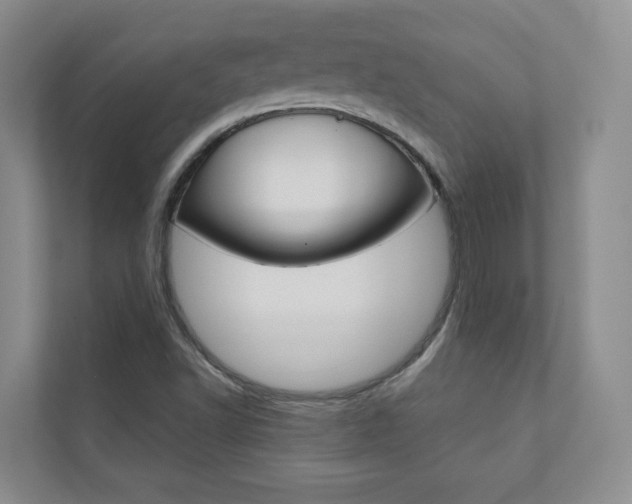 X0000110981502200906191040
