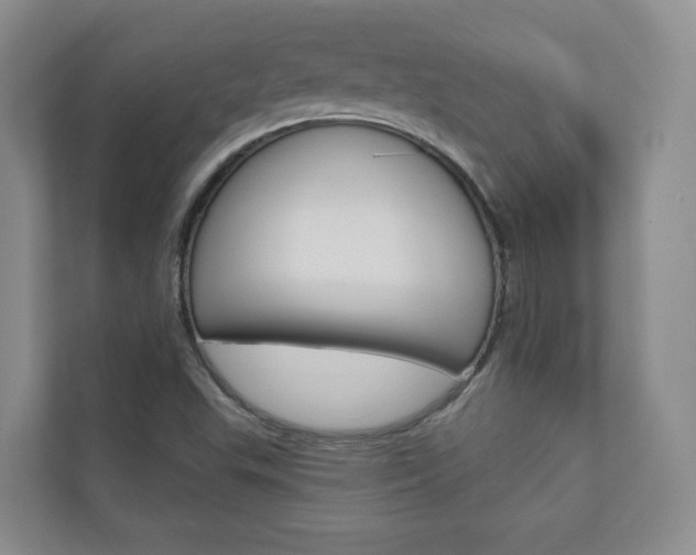 X0000110981503200906191040