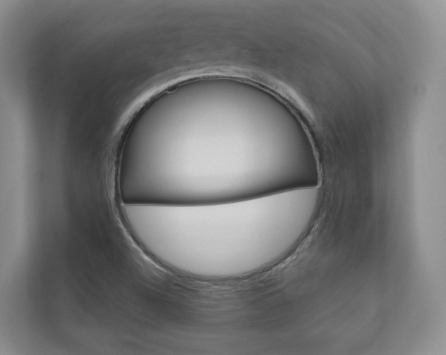 X0000110981504200906191040