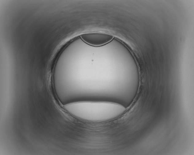 X0000110981507200906191040
