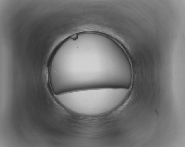X0000110981509200906191040