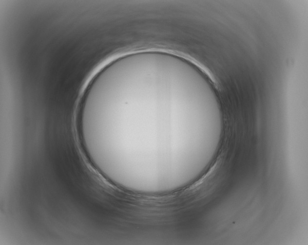 X0000110981510200906191040