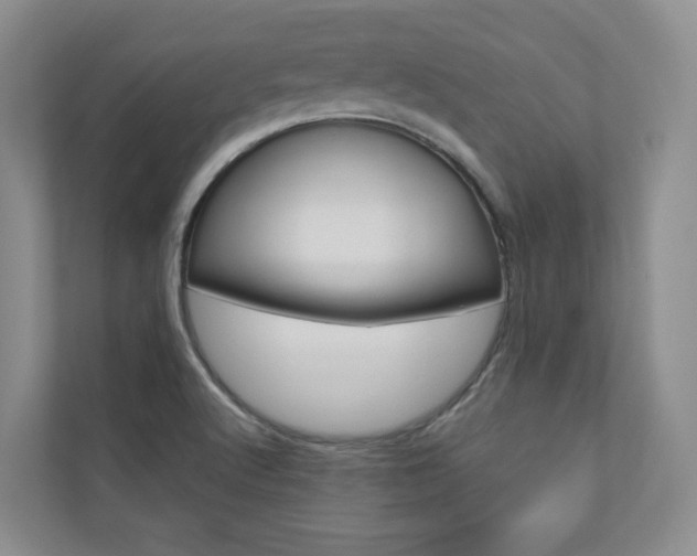 X0000110981512200906191040