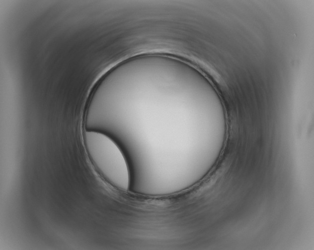 X0000110981513200906191040
