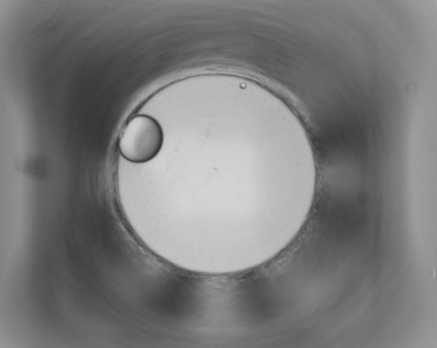X0000110981514200906191040