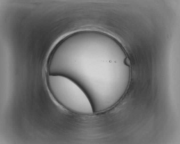 X0000110981515200906191040