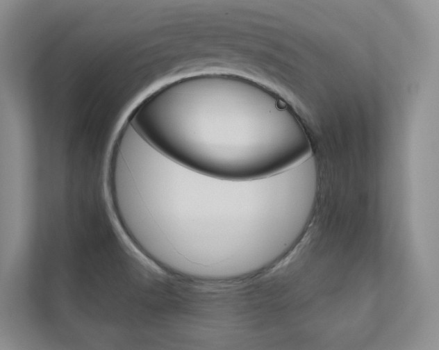X0000110981518200906191040