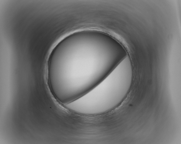 X0000110981520200906191040