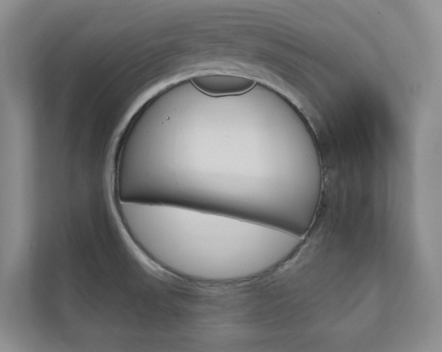 X0000110981523200906191040