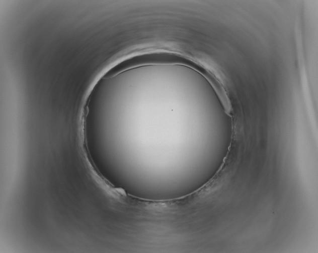 X0000110981524200906191040