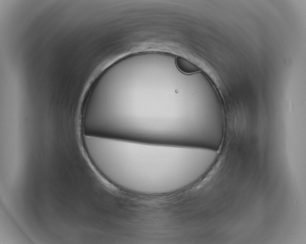 X0000110981525200906191040