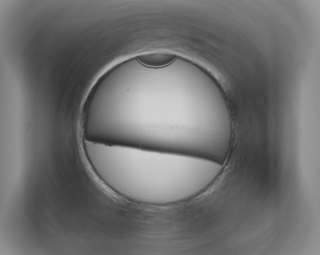 X0000110981526200906191040