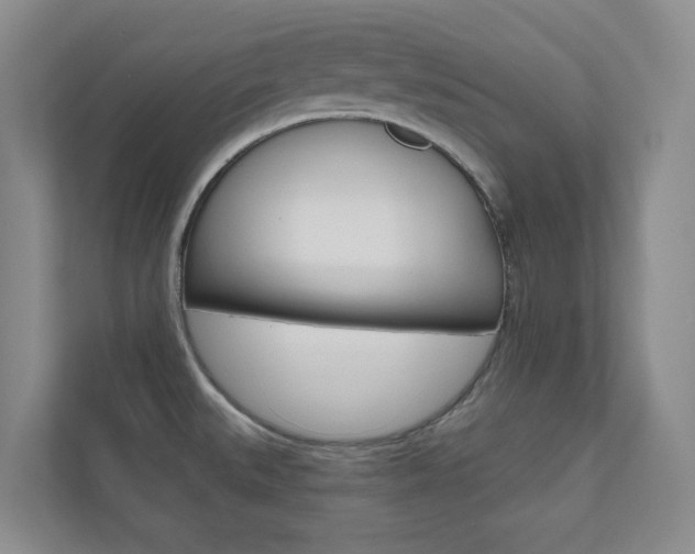 X0000110981527200906191040