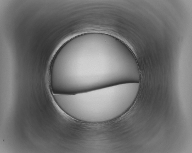 X0000110981531200906191040