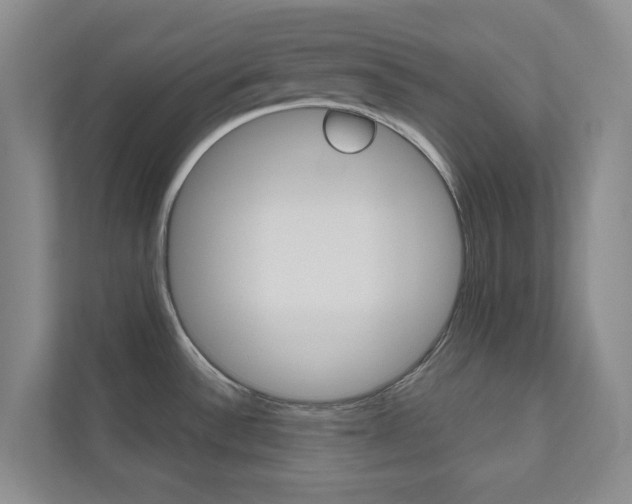 X0000110981532200906191040