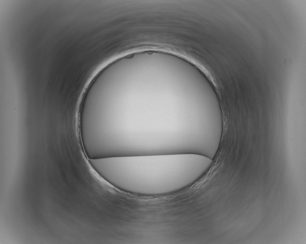 X0000110981535200906191040
