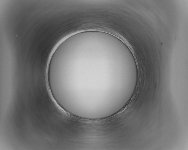 X0000110981536200906191040