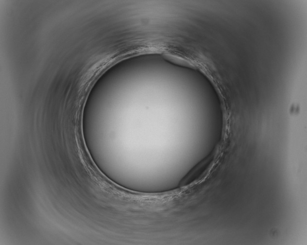 X0000110980001200906191415