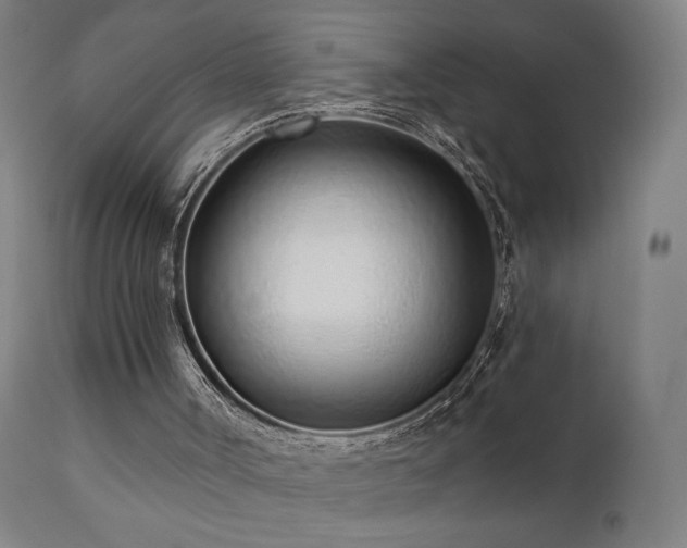 X0000110980002200906191415