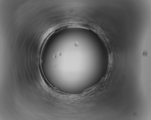 X0000110980003200906191415