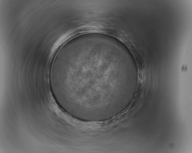 X0000110980004200906191415