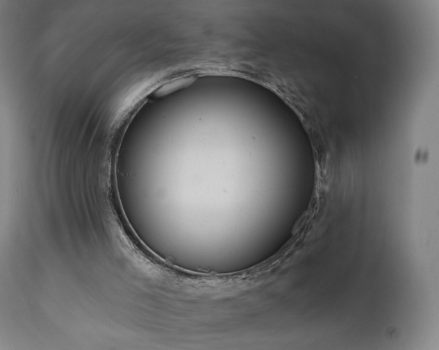 X0000110980005200906191415