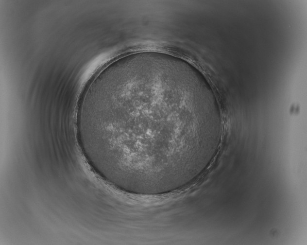 X0000110980006200906191415