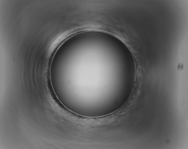 X0000110980007200906191415