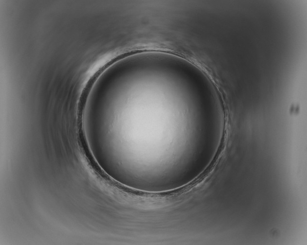 X0000110980008200906191415