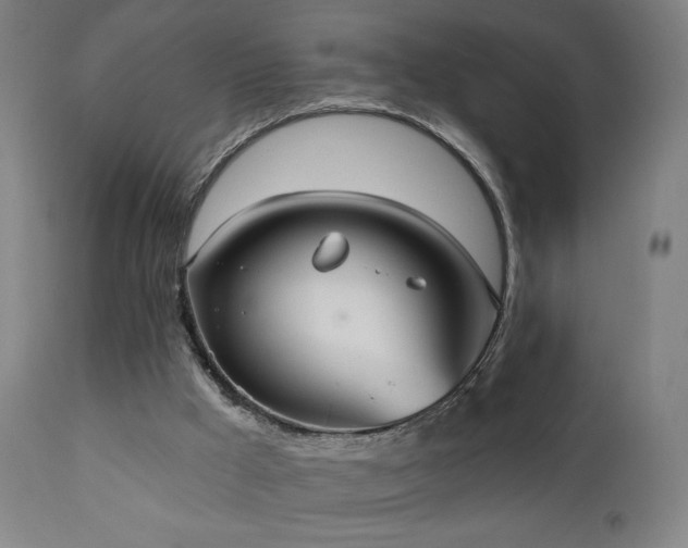 X0000110980009200906191415