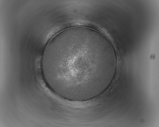 X0000110980010200906191415