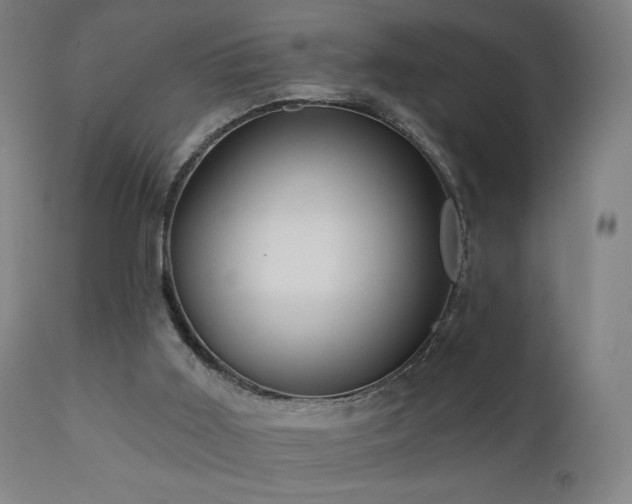 X0000110980011200906191415