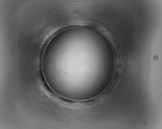 X0000110980012200906191415