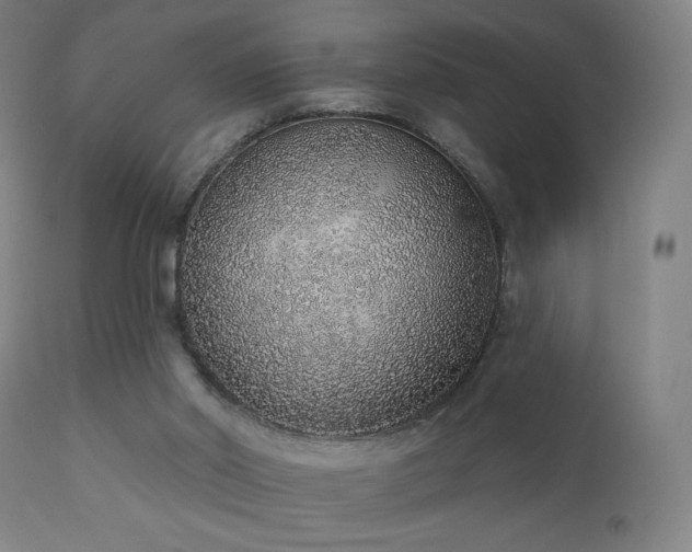 X0000110980014200906191415