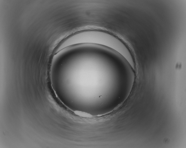 X0000110980015200906191414