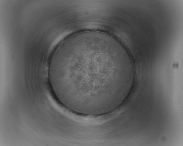 X0000110980016200906191414