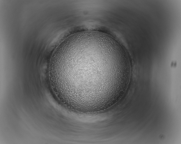 X0000110980018200906191414