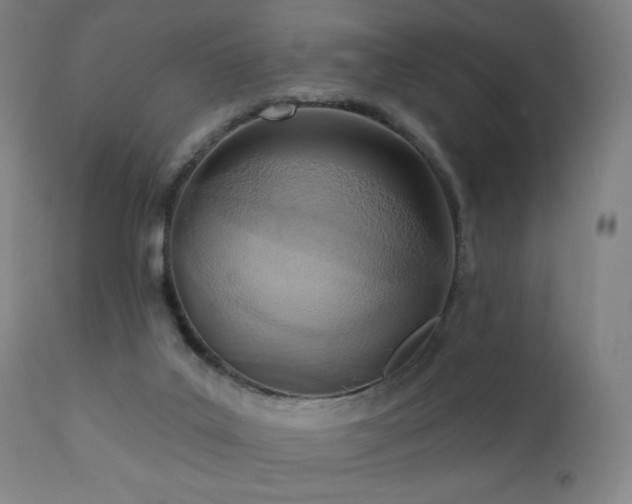 X0000110980019200906191414