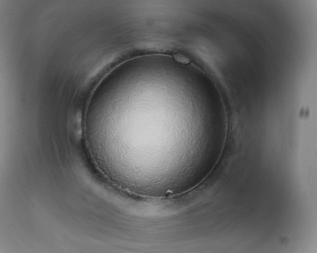 X0000110980020200906191414