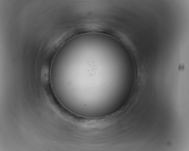 X0000110980021200906191414